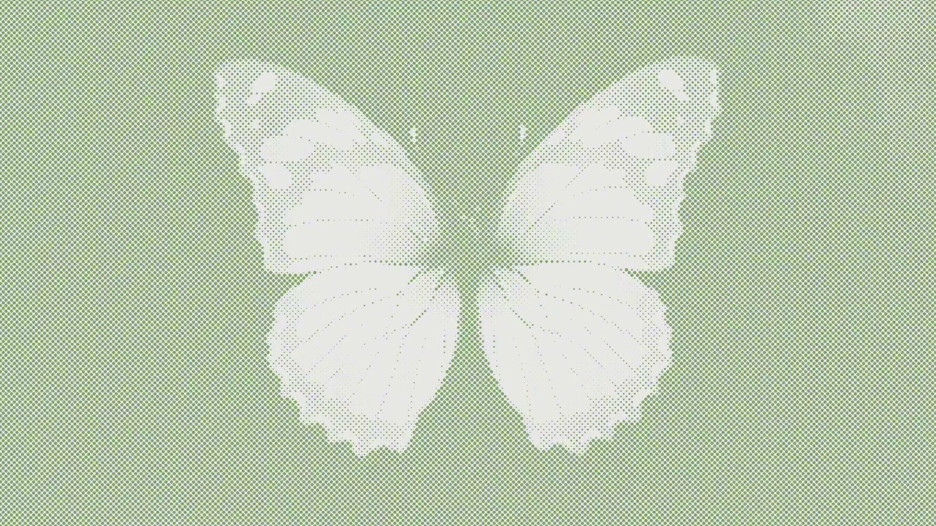 Xiaomi MiMo Butterfly Final Frame
